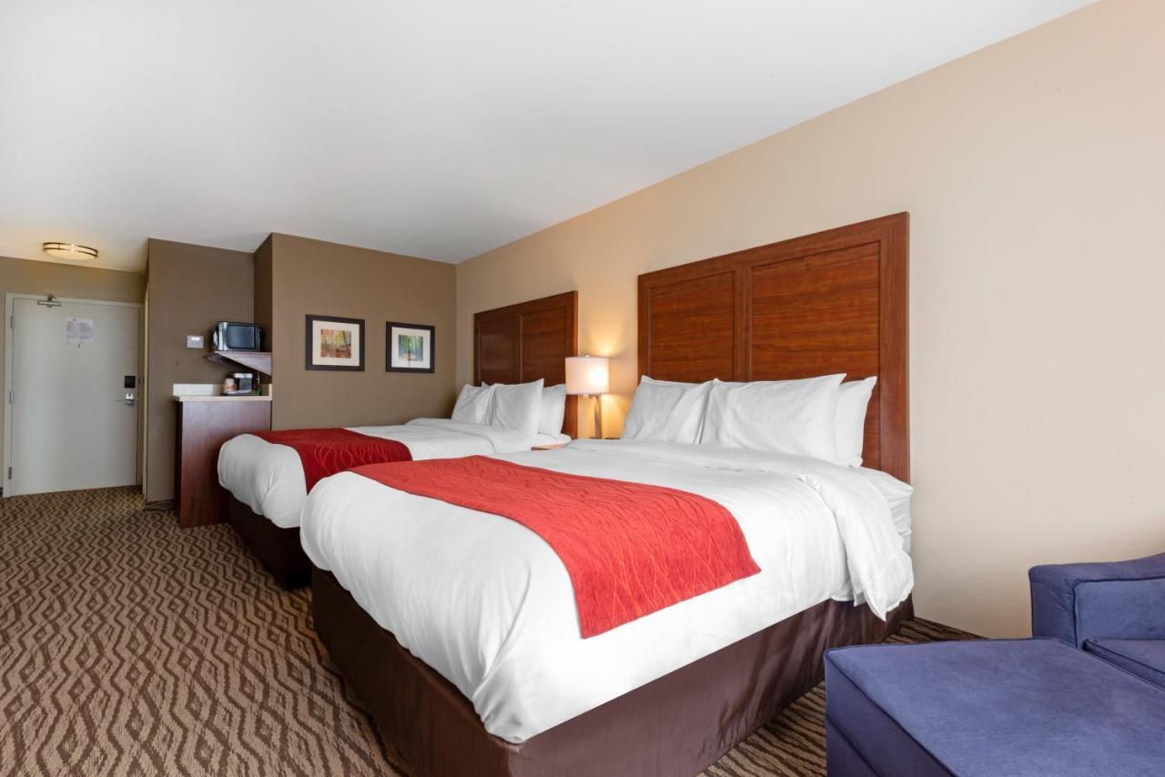 Comfort Inn & Suites Bowmanville Εξωτερικό φωτογραφία